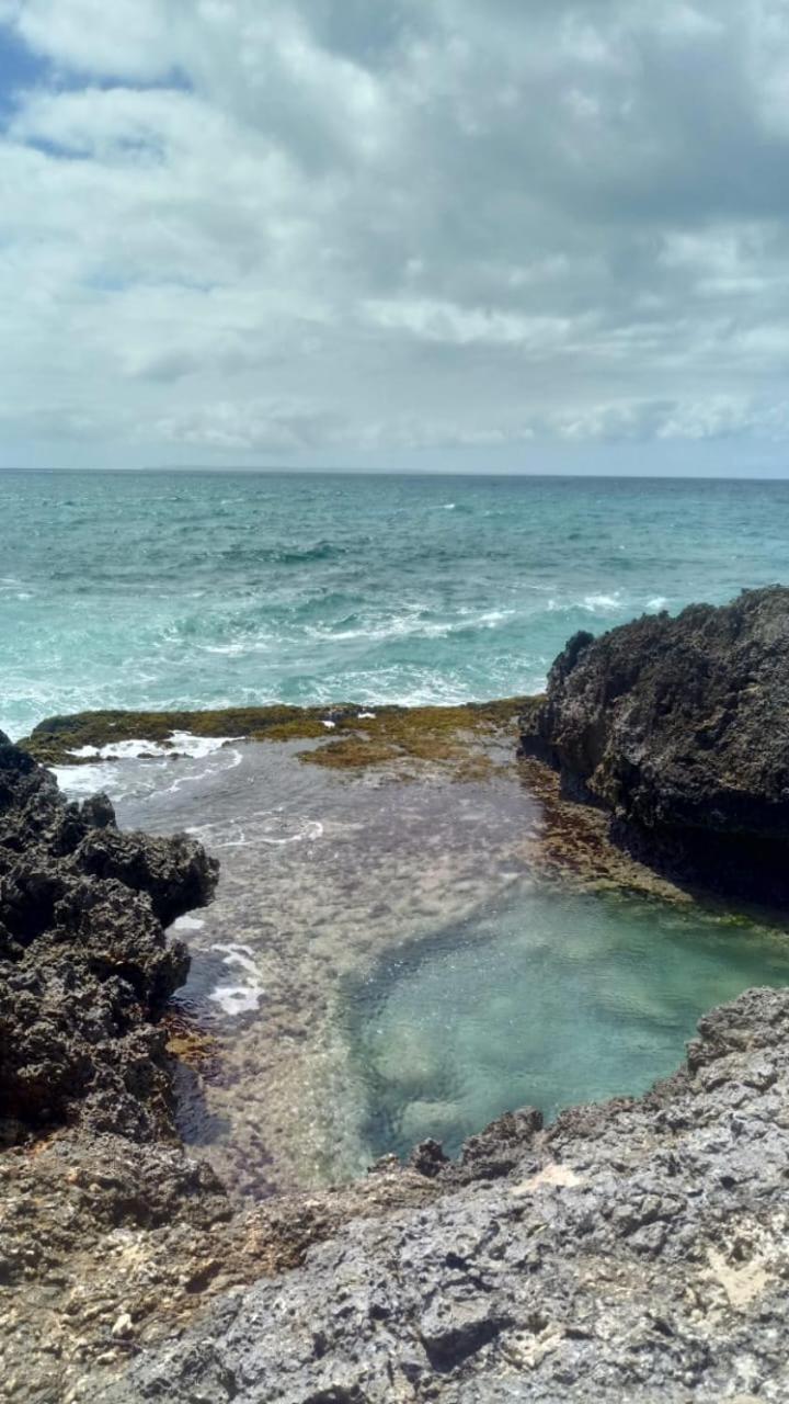 Beau Studio Lumineux Vue Mer Acces Plage Et Piscine Le Gosier  Eksteriør bilde